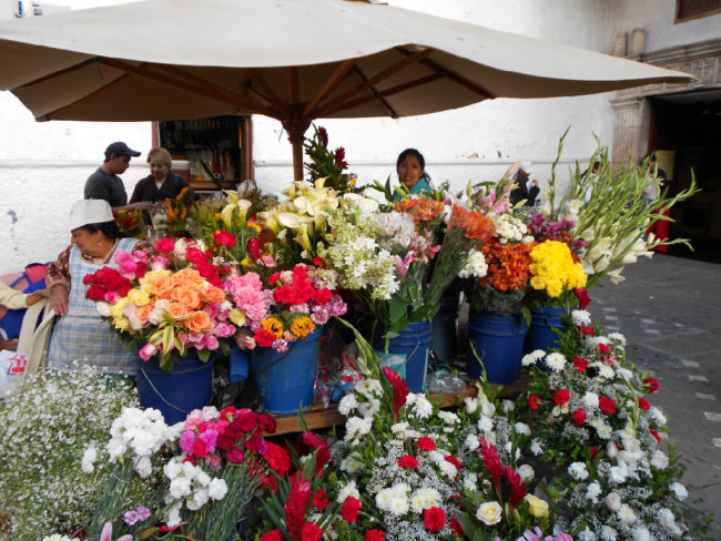 The flower market in Cuenca beside the New Cathedral.