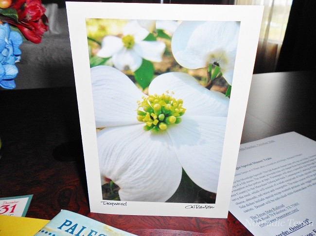 Dogwood Blossom on  Our Card
