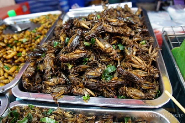 Fried and Salty Bugs